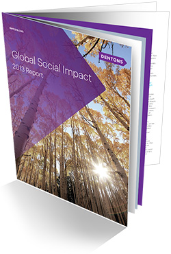 Global Social Impact 2013 Report
