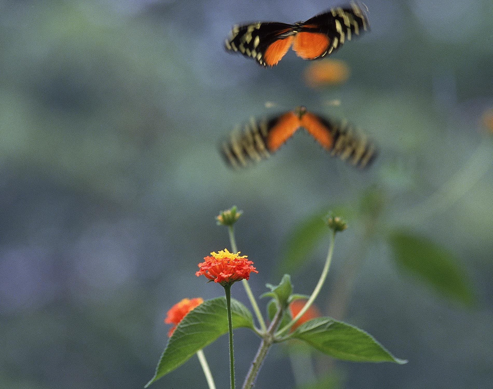 The Digital Deception: CMA's Crackdown on Fake Reviews and Its Ripple Effect on Crypto