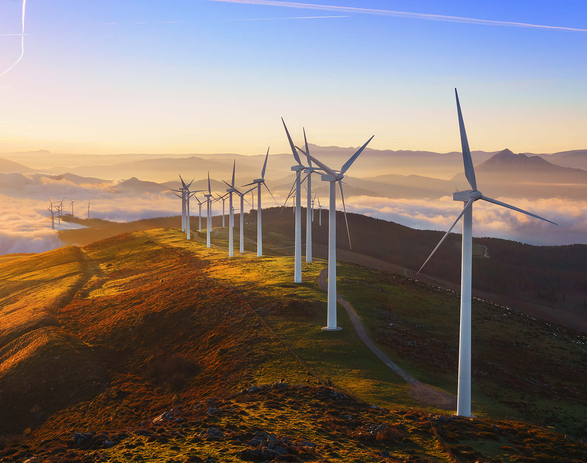 /-/media/images/website/background-images/industry-sectors/energy/energy_wind_istock-505412046.ashx?sc_lang=pl-pl