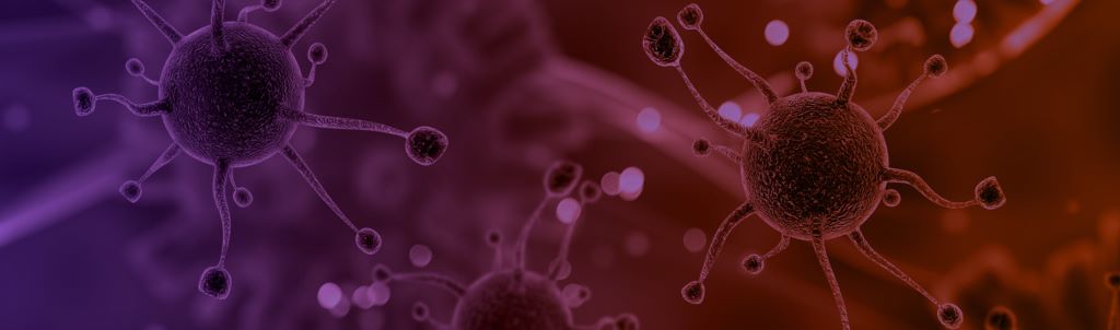 Dentons An Analysis Of Us Travel Restrictions Along The Canada Us Border And Us Mexico Border Due To The Covid 19 Outbreak