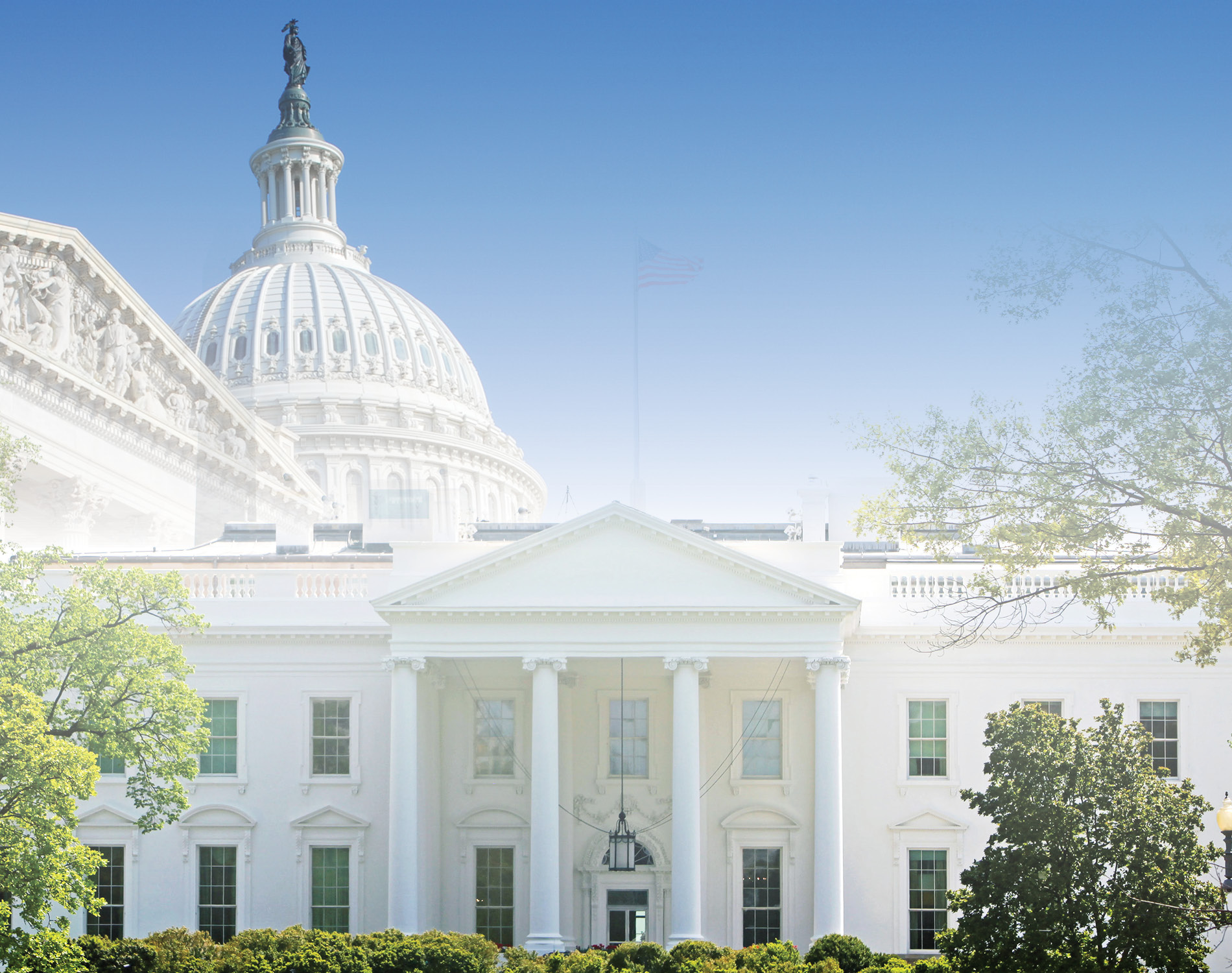 US Election Insight 2016 report