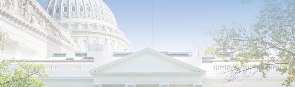 Dentons Us Election Insight 2016
