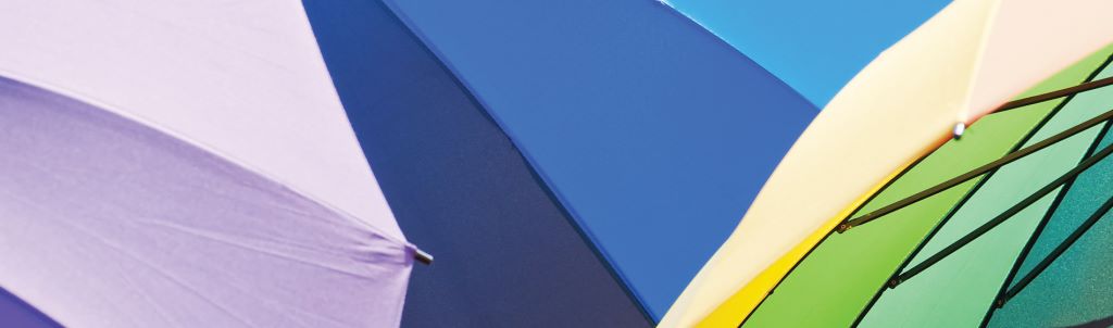 /-/media/images/website/background-images/landing-pages/whats-different-about-dentons/diversity/umbrellas.ashx