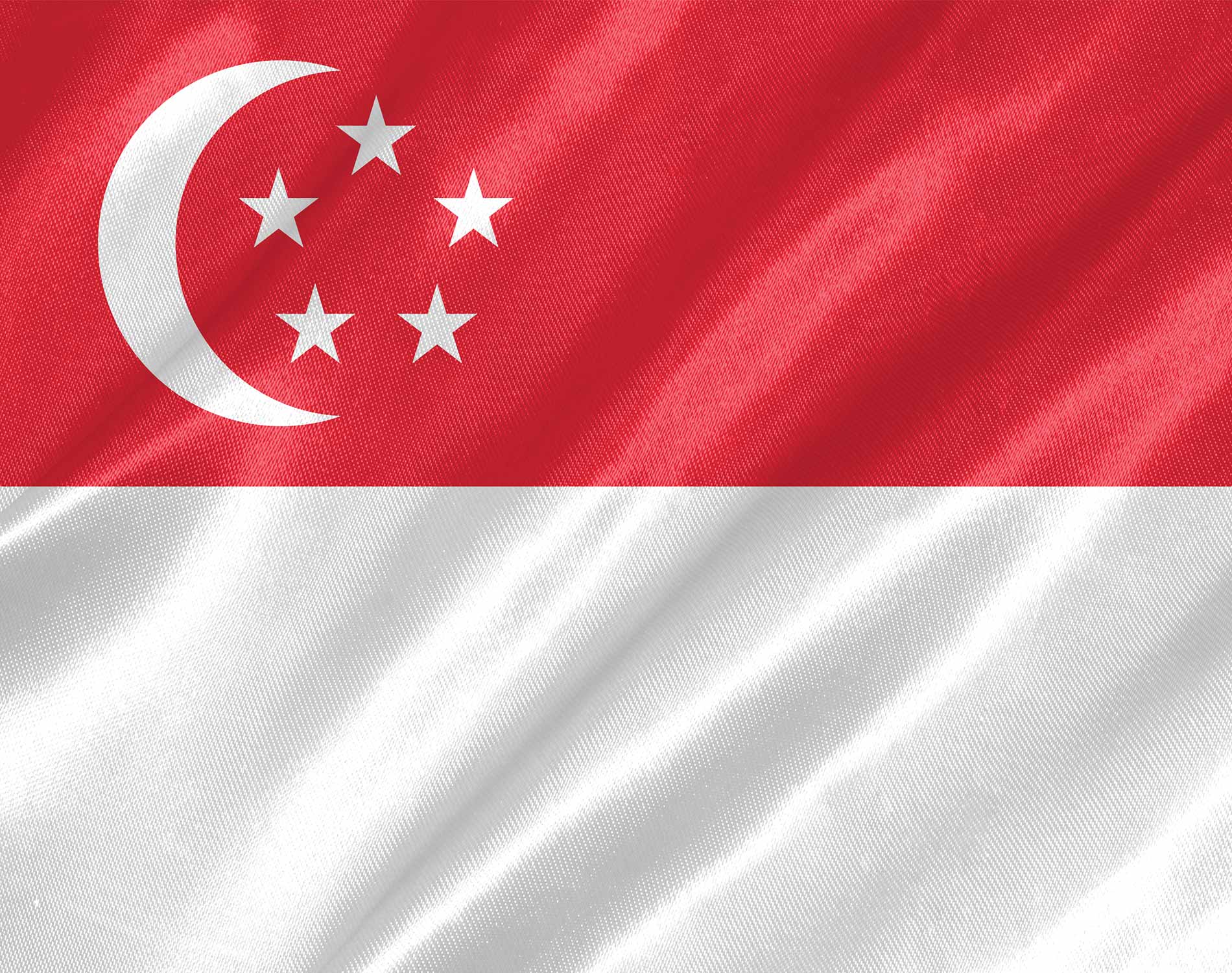 Flag of singapore