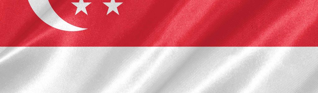 Flag of singapore