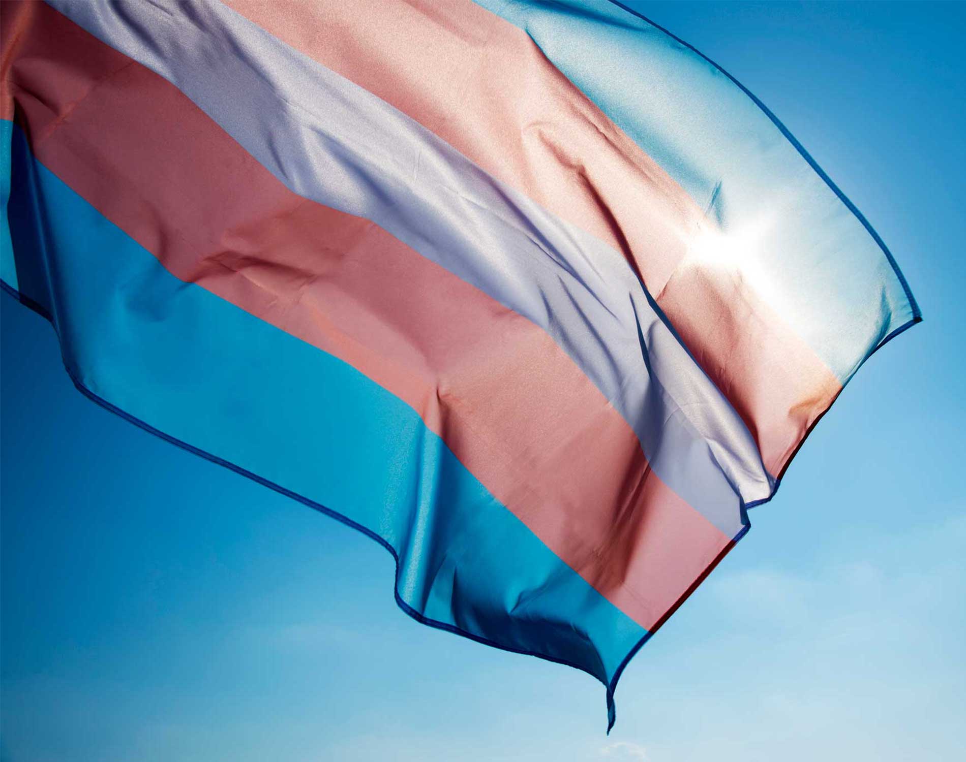 Trans flag