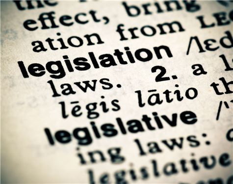 Legislation in a dictionary