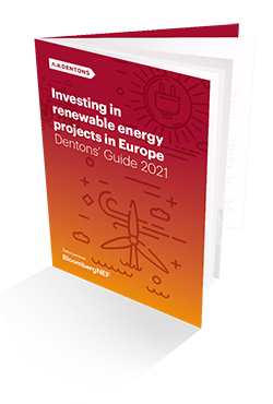 EU Renewables Workshop 2021 Brochure cover