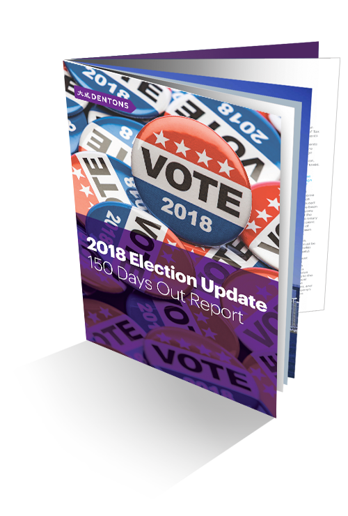 2018 Election update brochure image