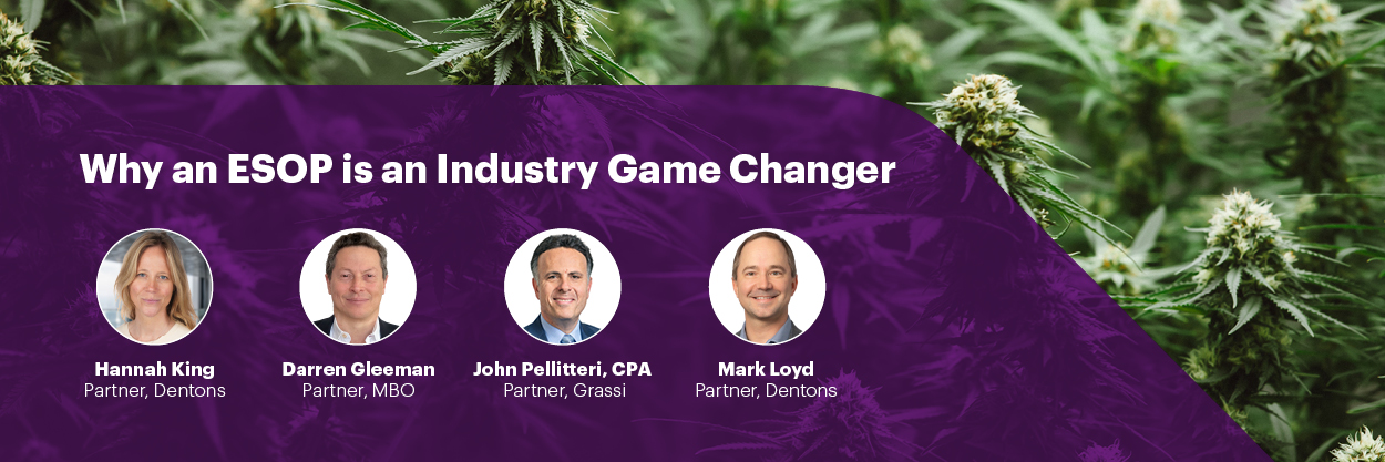 Cannabis Webinar banner