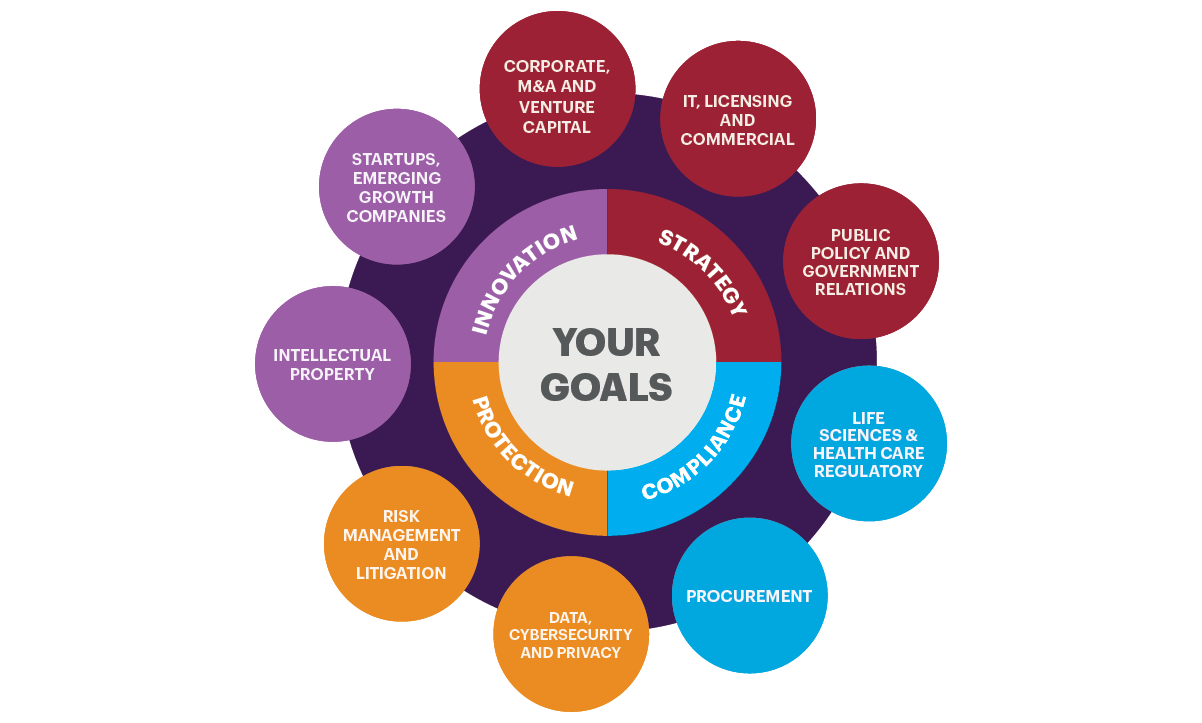 Digital Health Wheel of Services