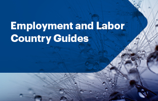  Employment and Labour Country Guides