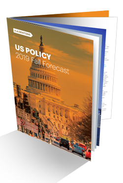 US Policy Fall Preview 2019