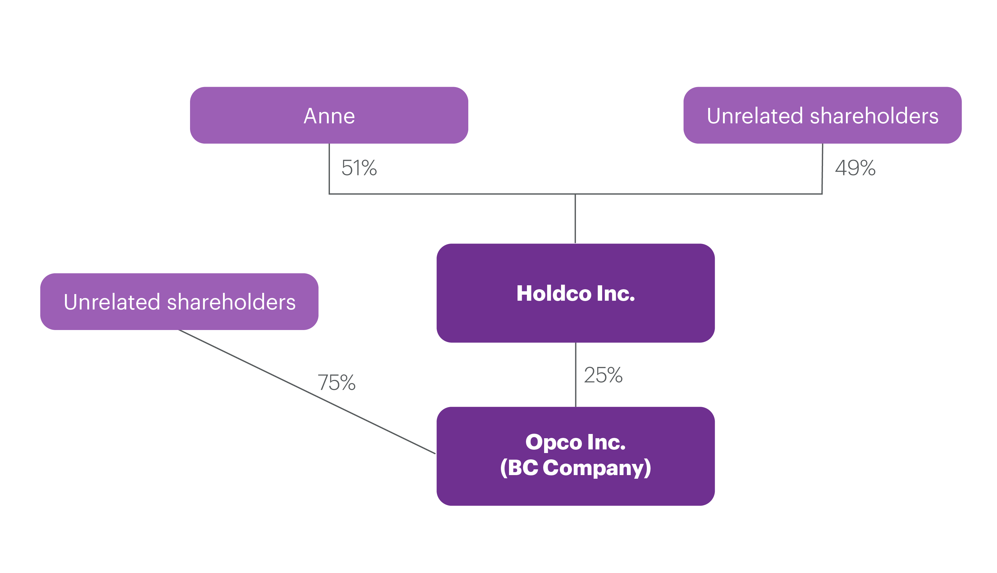 Organizational Chart – Opco Inc. & Holdco Inc.