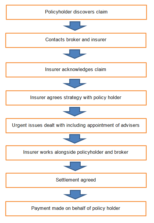 The insurance claims process