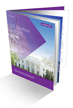 US Election Insight 2016