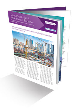 Dentons/CHINCA MEA Project Reporter