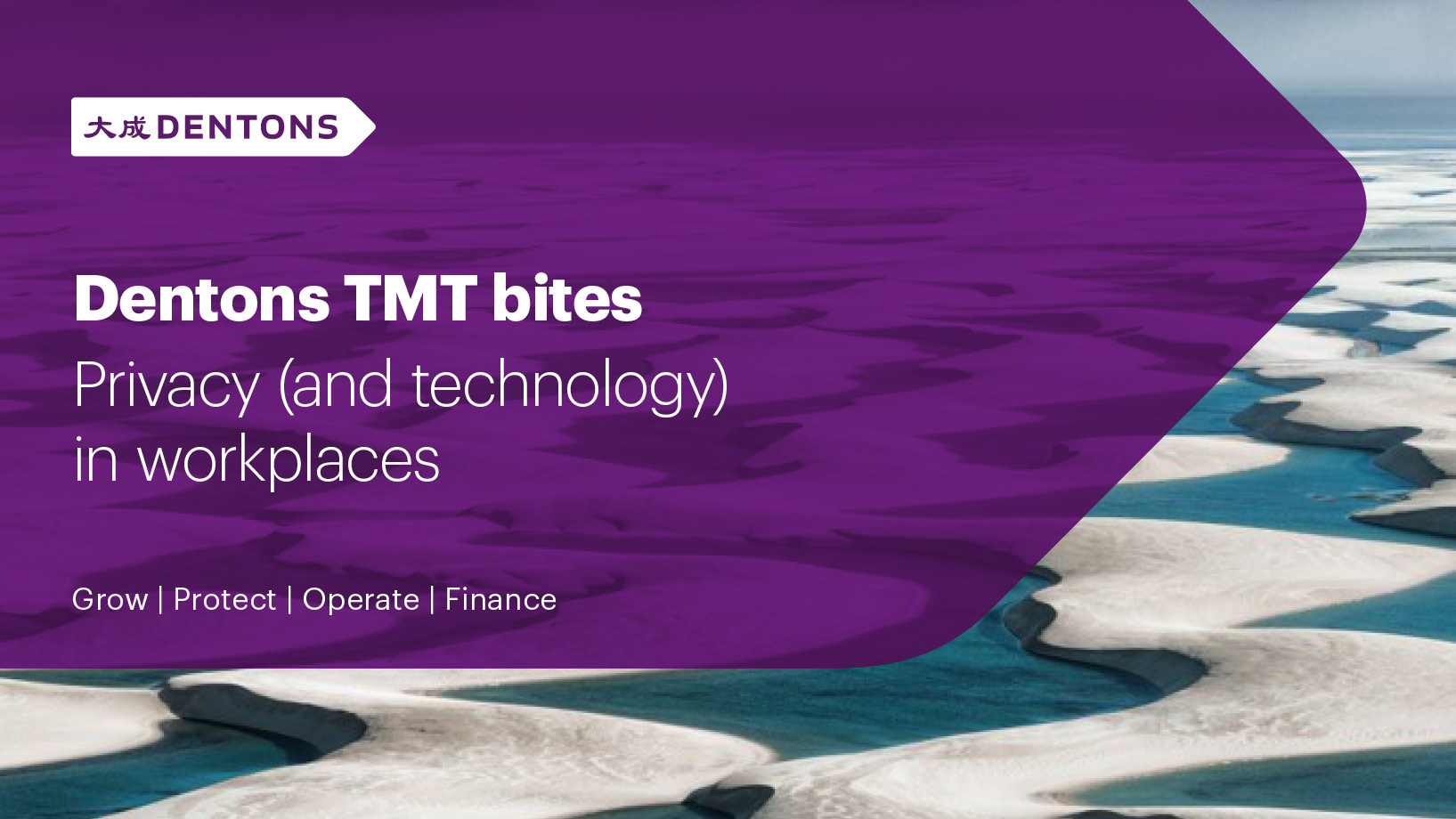 Dentons TMT Bites. Privacy and technology in workplaces. Grow. Protect. Operate. Finance.