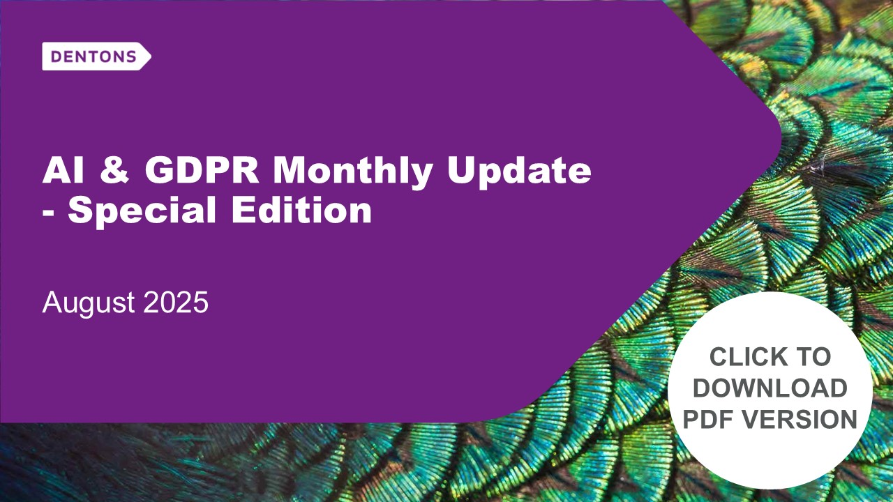 AI & GDPR Monthly Update August 2025 CLICK TO DOWNLOAD PDF VERSION