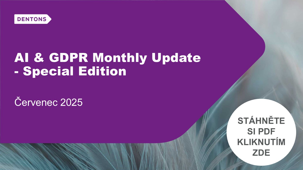 AI & GDPR Monthly Update – Special Edition banner