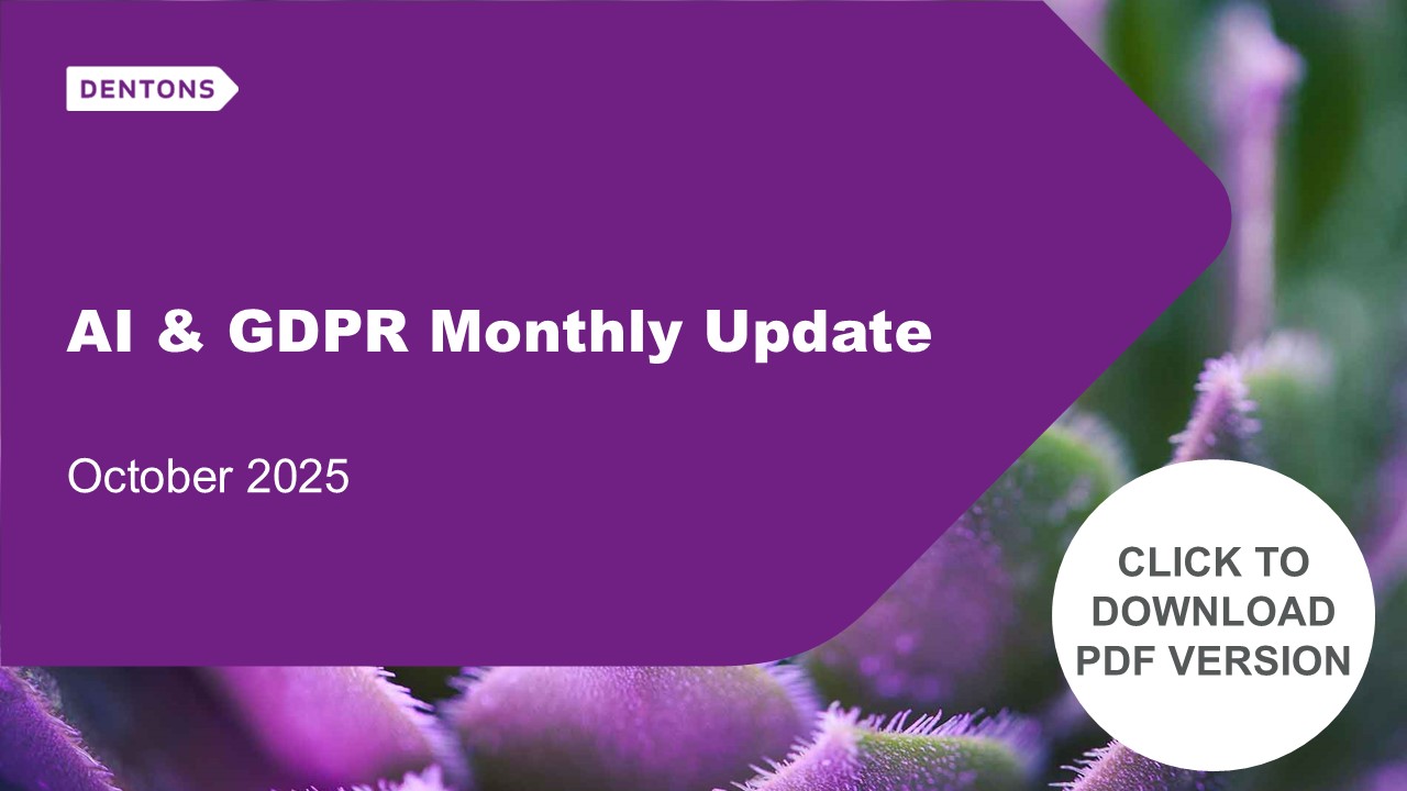 AI and GDPR Monthly Update English language banner