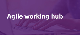 Remote working hub