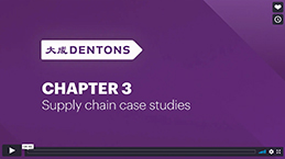 Video still Chapter 3 supply chain case studies
