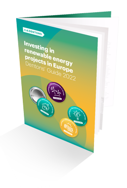 Investing in renewable energy guide