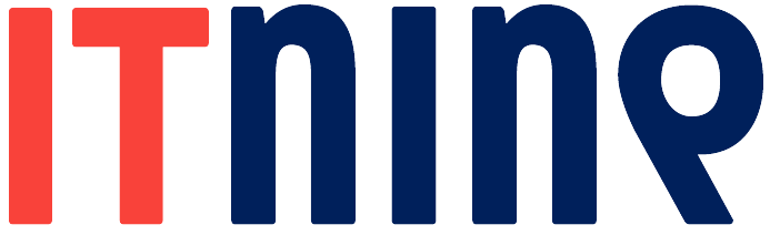 IT9 (ITNINE) logo