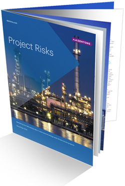 Global Project Risks