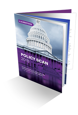 Policy Scan 2018 booklet